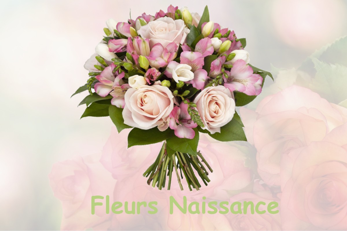 fleurs naissance MONTMIREY-LE-CHATEAU